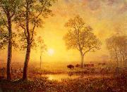 Sunset on the Mountain Albert Bierstadt